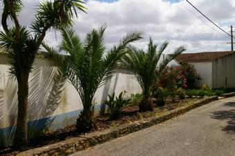 Apartamento Casal Alentejano