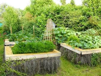 Ver fotos