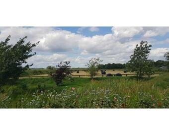 Agroturismo Fenland Retreats At Willow Grange Farm