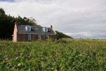 The Cottage