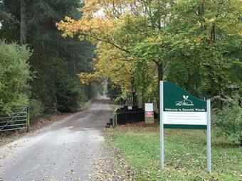 Forest Lodge