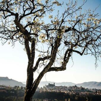 Il Ciocco Hotels