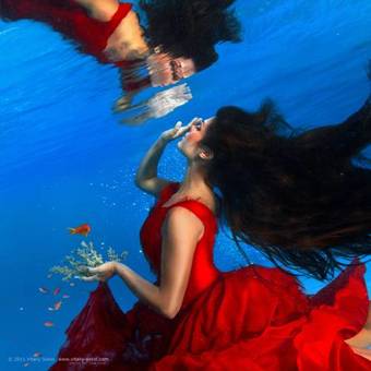 Ver fotos