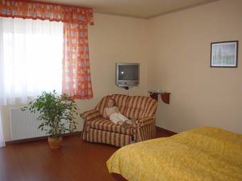 Wolf Hotel