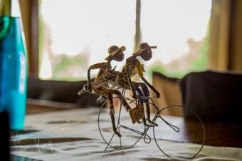 Ver fotos