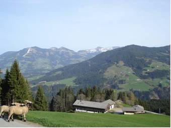 Agroturismo Biobauernhof Fleckl