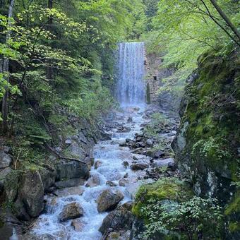 Hostal Guesthouse V�geliwohl