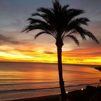 Extraordinario Apartamento A Pie de Playa Chalet Roquetes