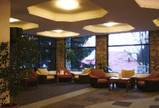 Bradul Hotel