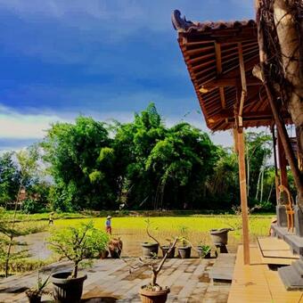 Lotus 2 Guest House
