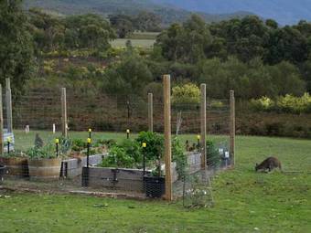 Villa Boroka Downs