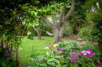 Hostal Kereru Cottage
