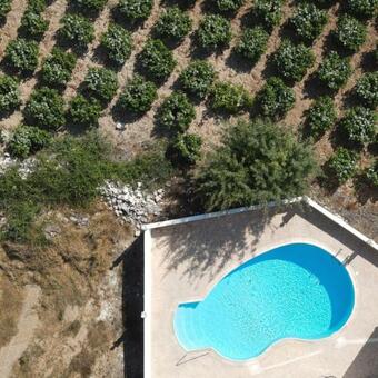 Villa Froso