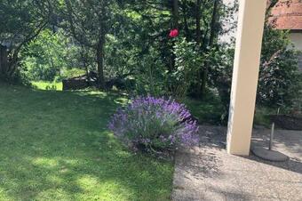 Apartamento Gepflegte Wohnung F�r Naturmenschen