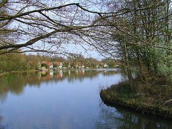 Holiday Home Landgoed Het Timmerholt4