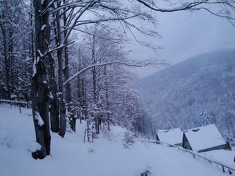 Domki Beskid