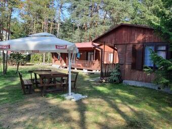 Forest Villa- Domki