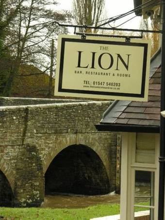 Posada The Lion
