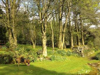 Robin Hood Farm B&B