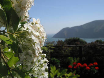 Chough's Nest Hotel