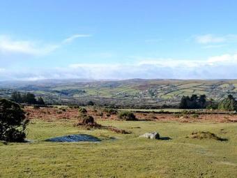 Little Coombe
