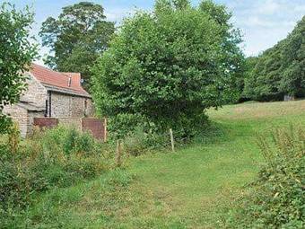 Yew Tree Bothy