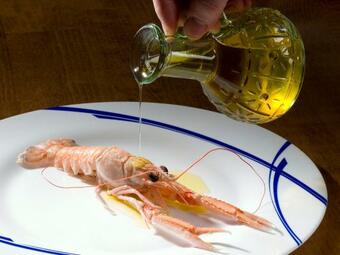 Ver fotos