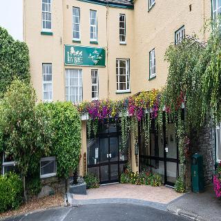 Ivy Bush Royal Hotel