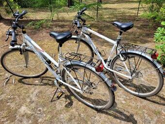 Apartamento H�ttendorf F�r Euch Alleine - Gef�hrter Yachtausflug Zum Wolziger See Inclusive!