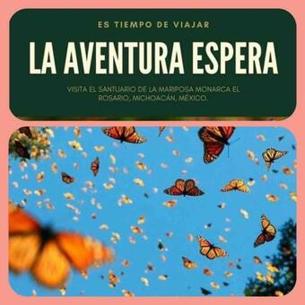 Ver fotos