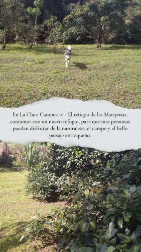 Ver fotos
