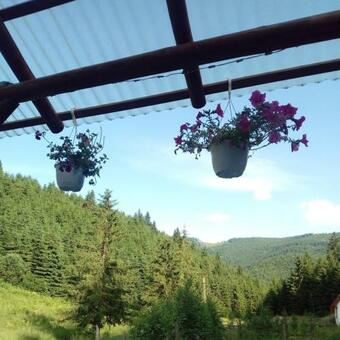 Ver fotos