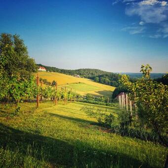 Apartamento Landhaus Schaller Im S�dburgenland