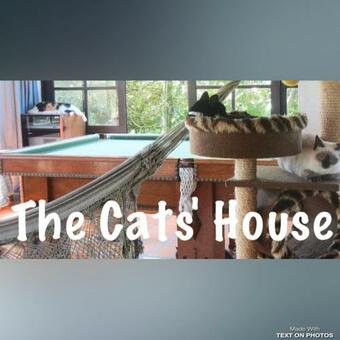 Hostal The Cats' House