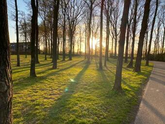 Knus Vakantiehuis Aan Het Drents Friese Wold