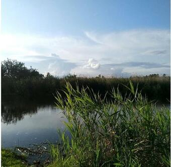 Dom Pod Bia?ym Pagajem