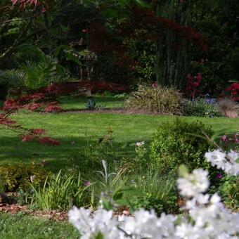 Hostal Les Jardins Du Cloestro