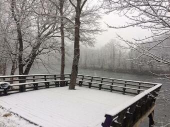 Ver fotos