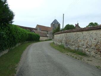 Le Saule Argent�