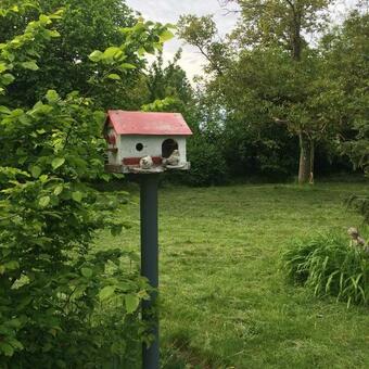Chez Madame Titus