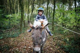 Hostal Domaine De Kernanou