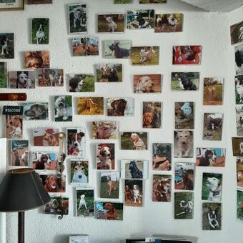 Ver fotos