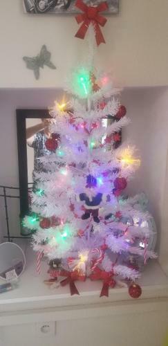 Apartamento Studio 1