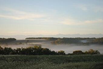 Ver fotos