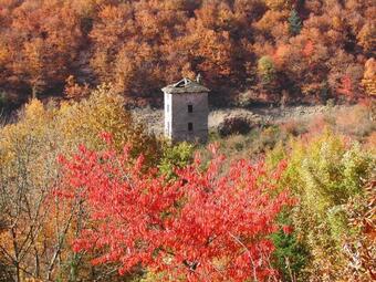 La Chati�re