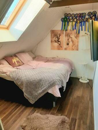 Apartamento D'lyon Stud And Sporthorses