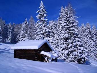 Hotel Diana