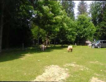 Agroturismo Feriengut Zum F�rst�n