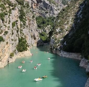 Le Cytise