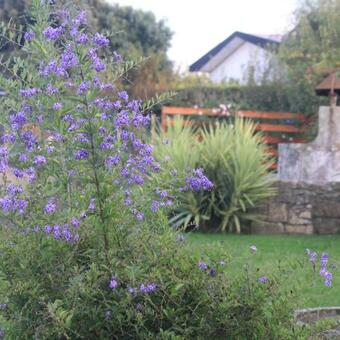 Ver fotos